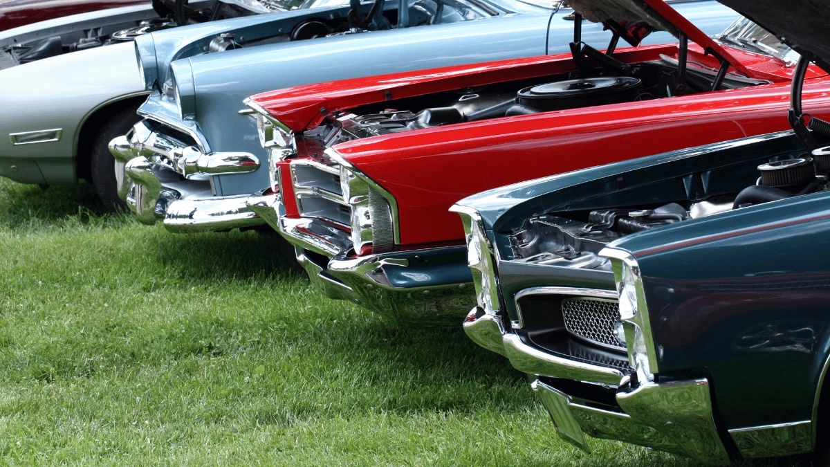 a row of cars parked on grass