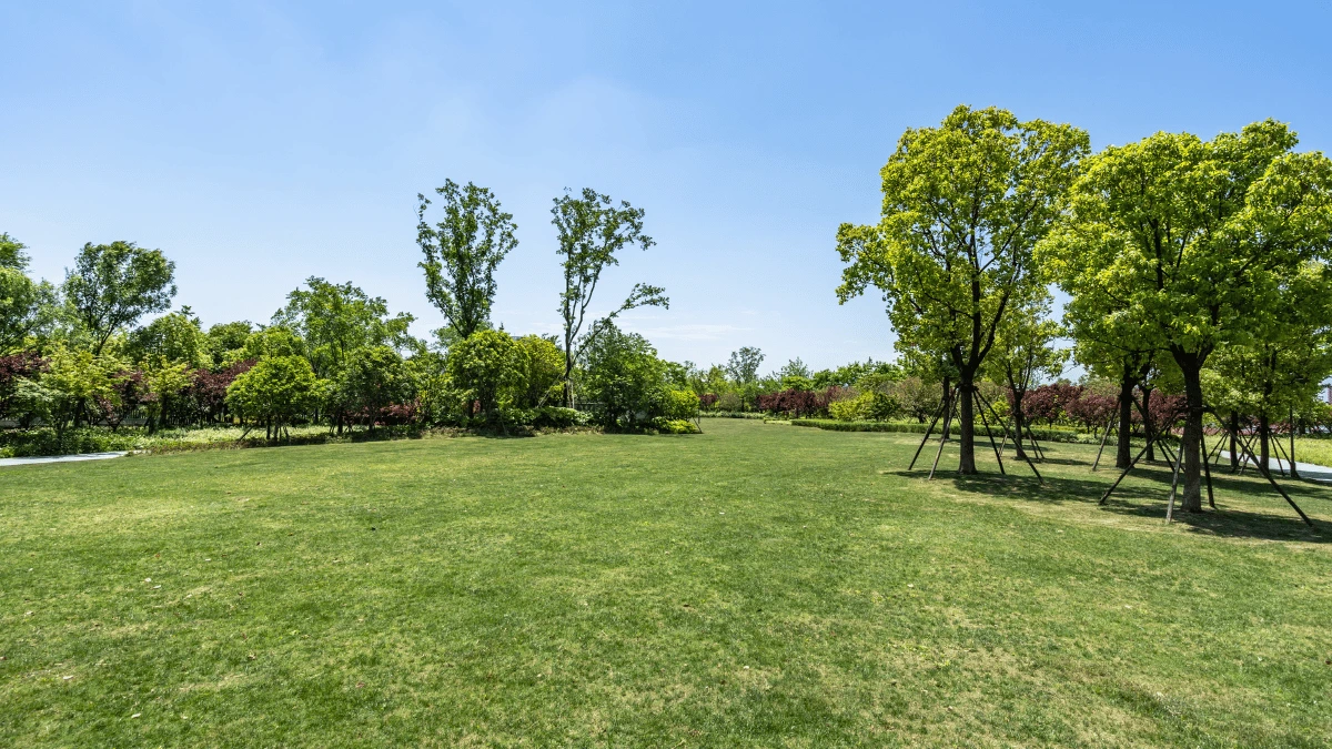 a large grassy area with trees and blue sky
