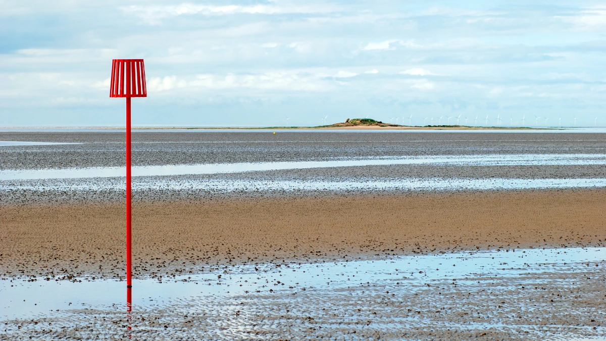 an image of a beach