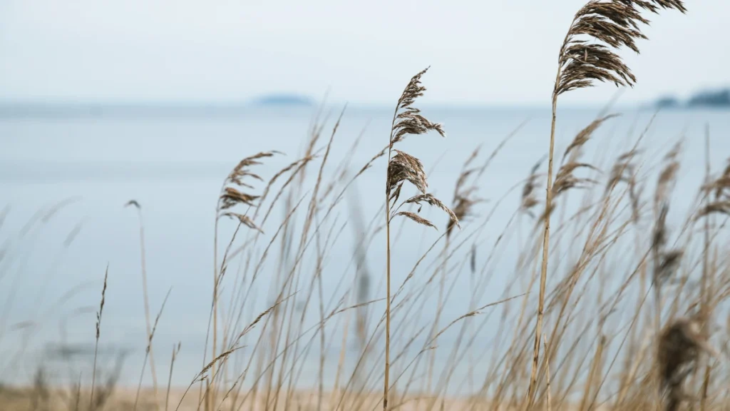 North Wirral Coastal Park