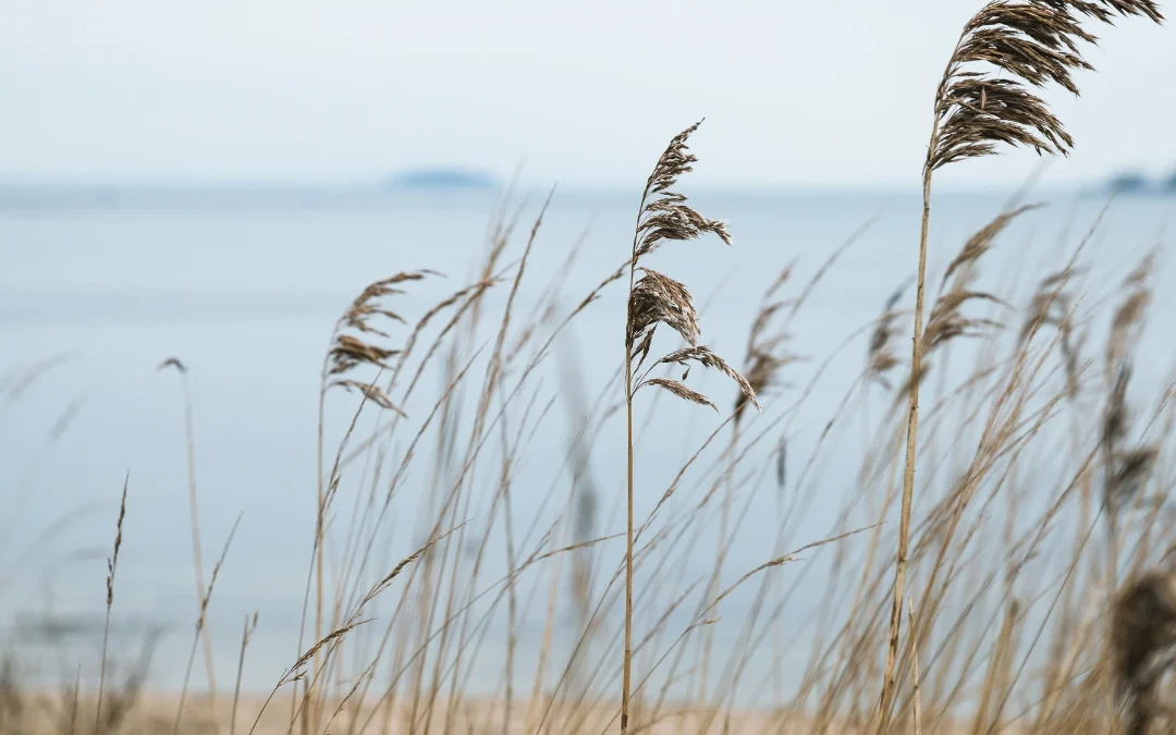 North Wirral Coastal Park
