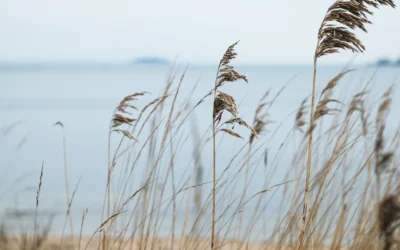 North Wirral Coastal Park