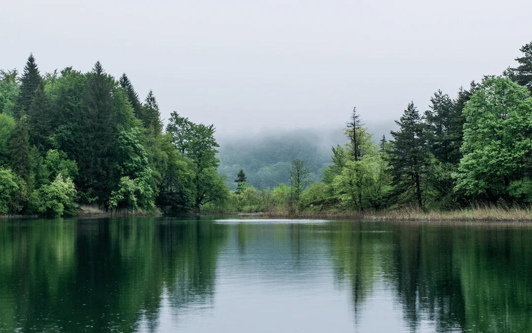 Windermere Lake Cruises