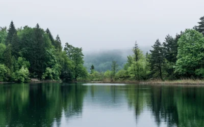 Windermere Lake Cruises